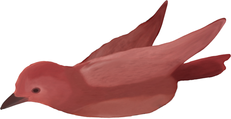 Red Tiny Bird in Watercolor Illustration